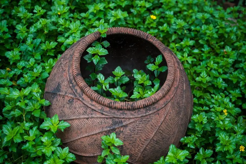 Greens & Outdoors at GAURS BENTO, Sector 19, Gaur Yamuna City, Greater Noida