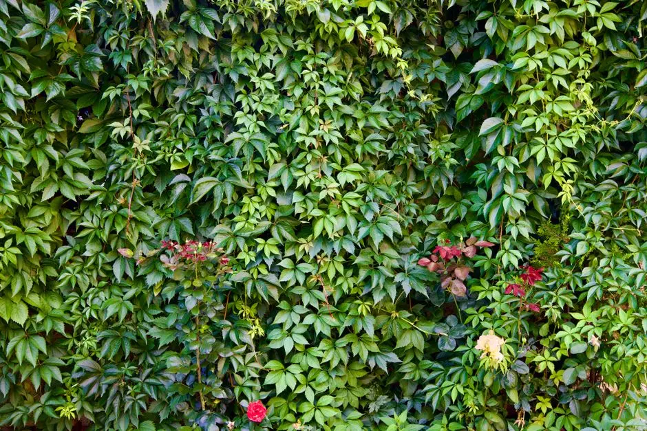 Greens & Outdoors at GAURS SECTOR 129 NOIDA, Noida