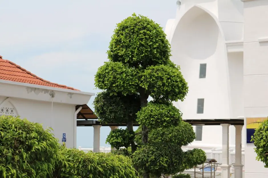 Greens & Outdoors at GAURS CODENAME PLUME, Sector 22D, Greater Noida