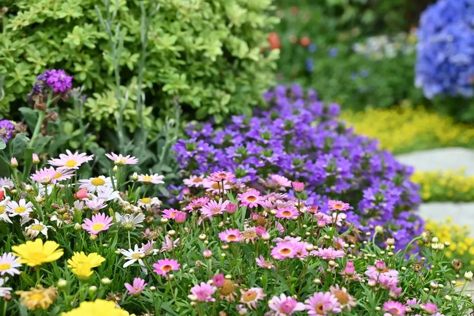 Greens & Outdoors at GAURS YAMUNA CITY 6TH PARK VIEW, Gaur Yamuna City, Greater Noida