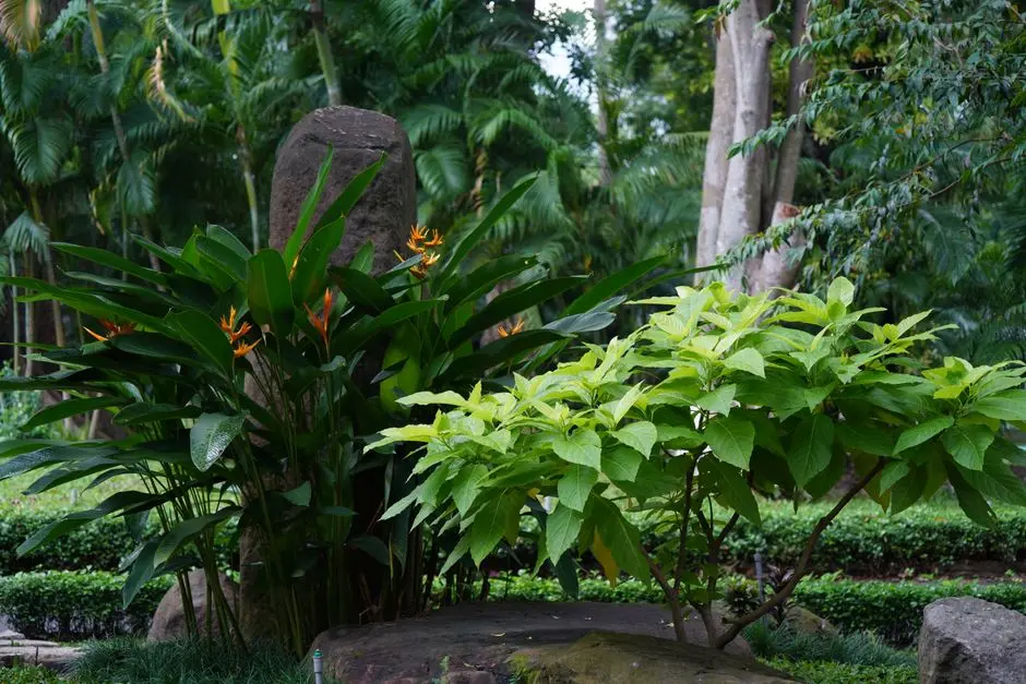 Greens & Outdoors at GAURS ALARIS, Greater Noida