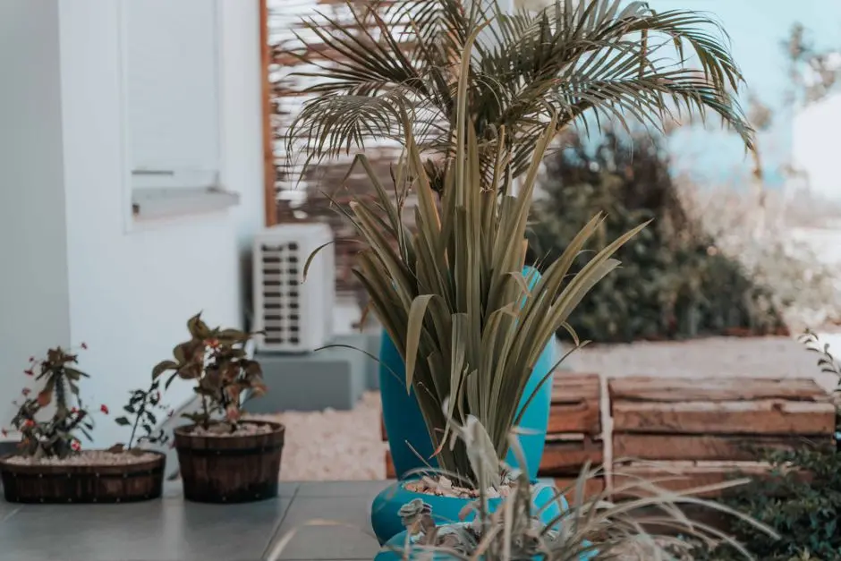 Greens & Outdoors at GAURS GRANDEUR, Sector 119, Noida