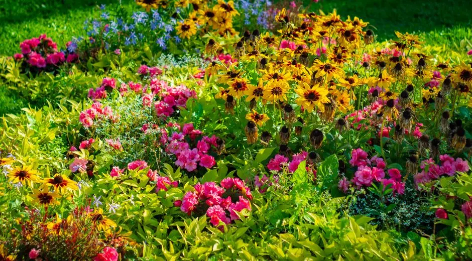 Greens & Outdoors at GAURS ALARIS, Sector 22D, Greater Noida